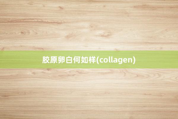 胶原卵白何如样(collagen)